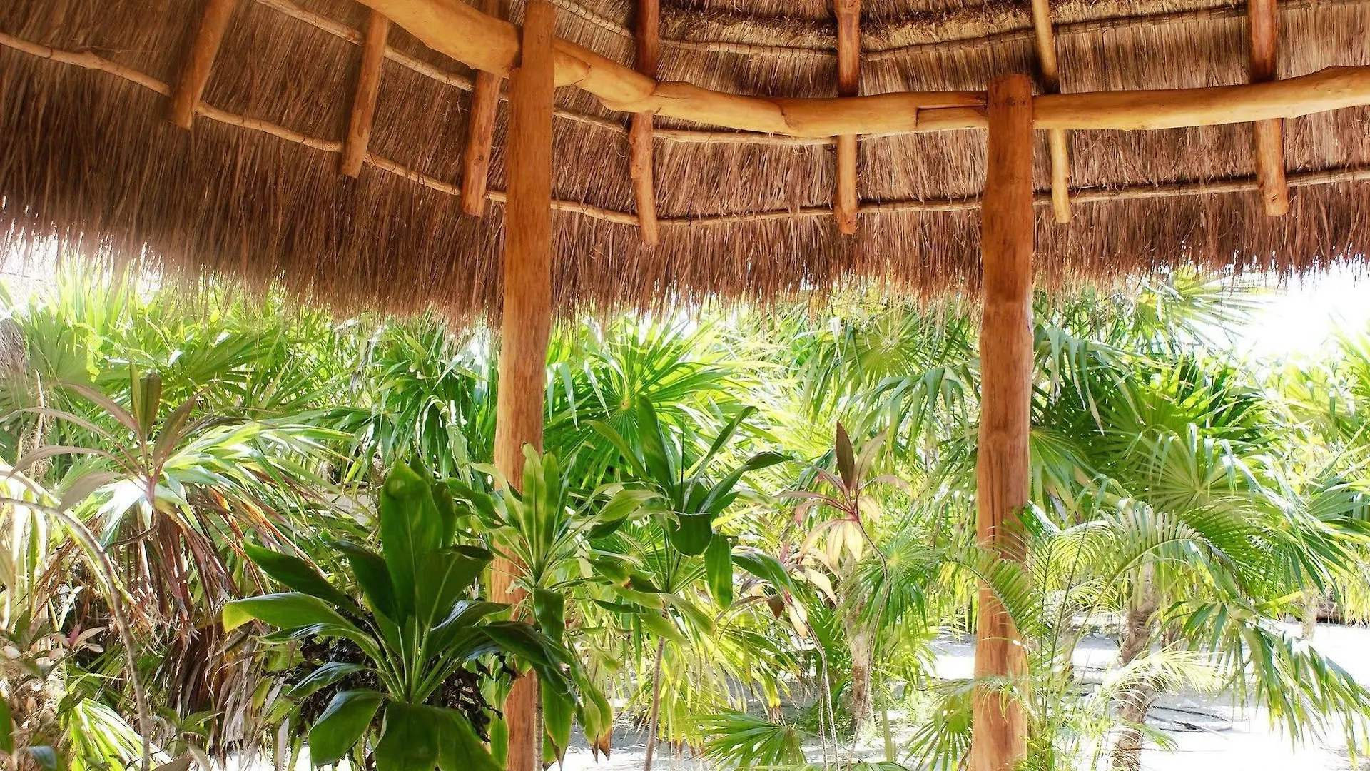 Deluxe Apartments Holbox Szálloda Isla Holbox